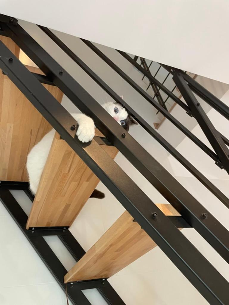 7 Rayons Villa Avignon Ngoại thất bức ảnh